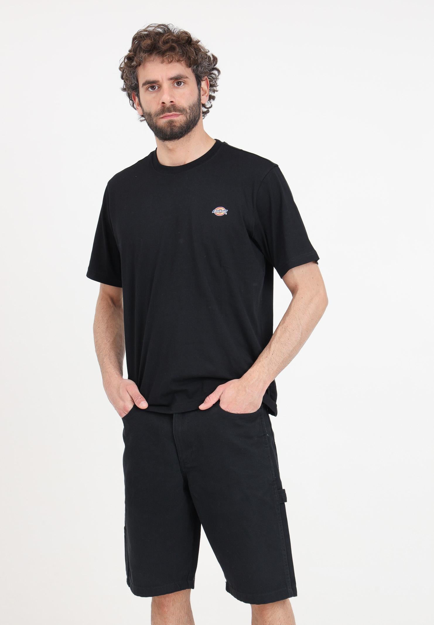 DIckies DK0A4XNGC401C401