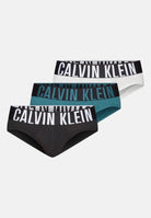 CALVIN KLEIN 000NB3607AQTK