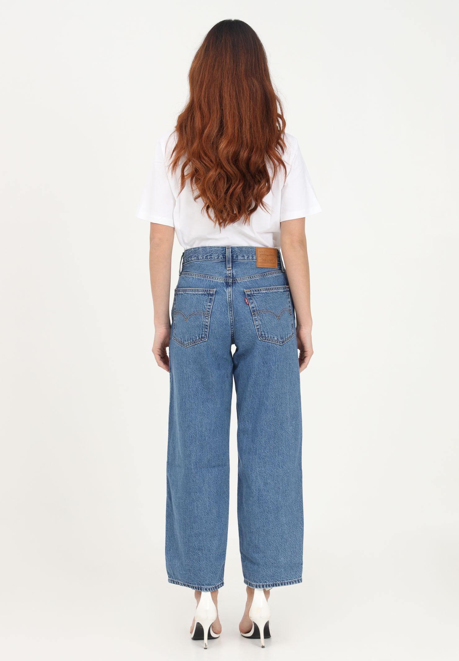 LEVIS® A3494-00130013