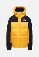 THE NORTH FACE NF0A88UY56P1