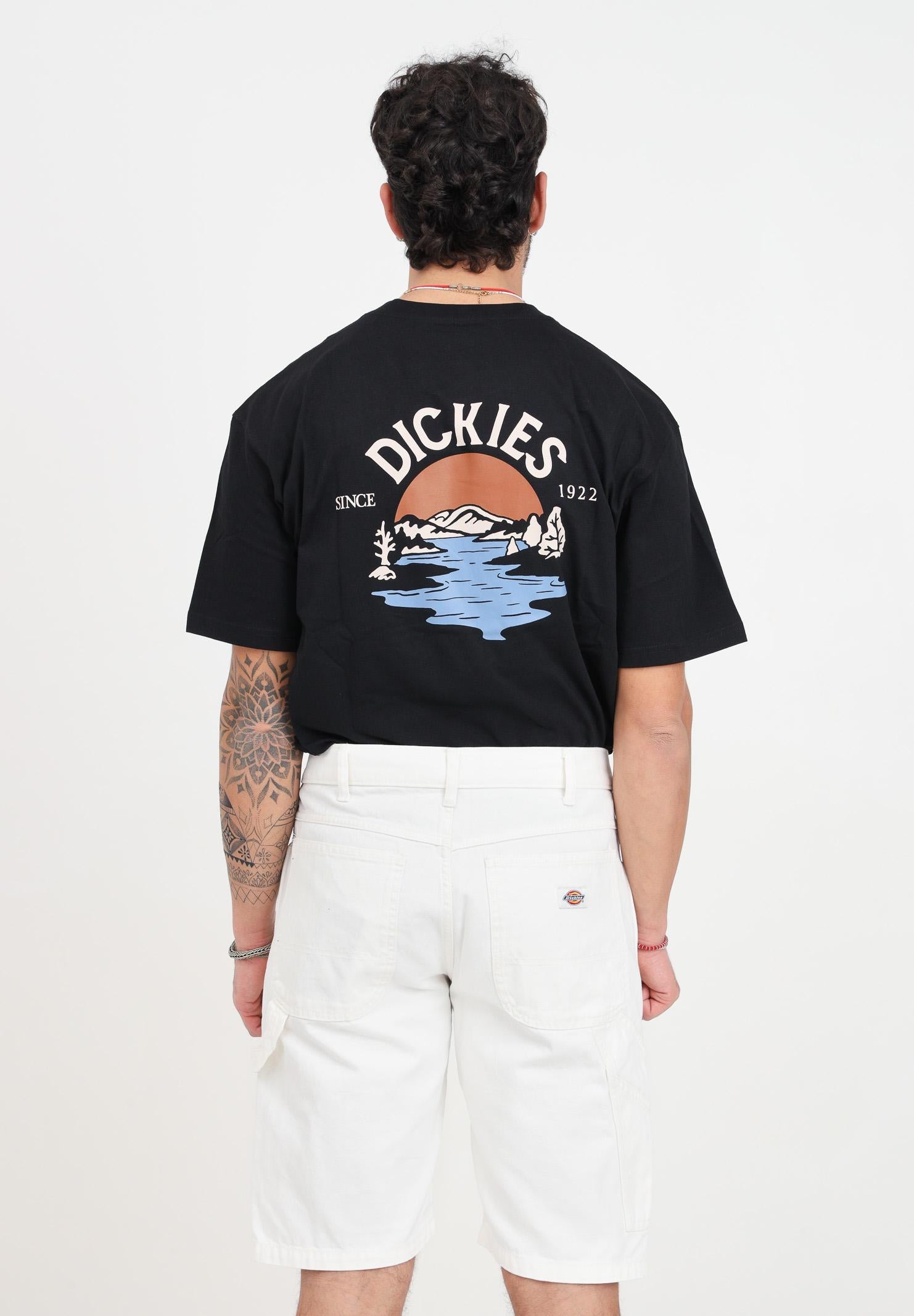 DIckies DK0A4XNGC431C431