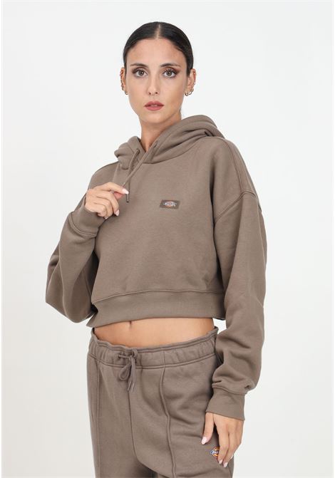 Felpa con cappuccio Oakport marrone da donna DIckies | DK0A4XJTMR11.