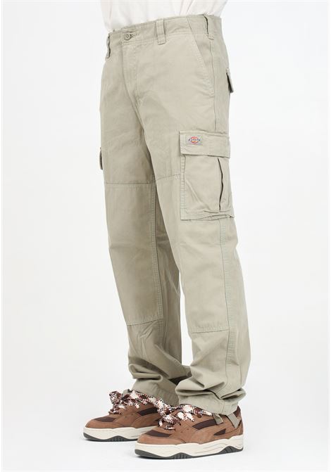 Pantalone casual Cargo Johnson argilla da uomo DIckies | DK0A4YF20IP1.