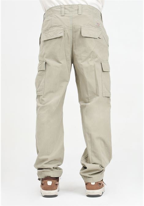 Pantalone casual Cargo Johnson argilla da uomo DIckies | DK0A4YF20IP1.