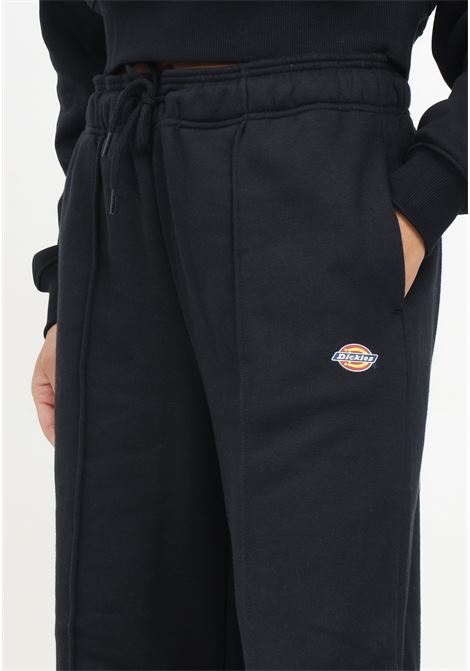  DIckies | DK0A4Z2VBLK1.