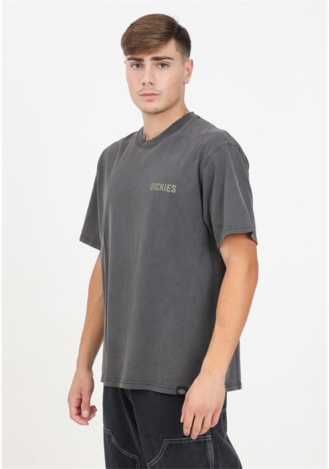 T-shirt a manica corta High Flying grigia da uomo DIckies | DK0A863ABLK1.