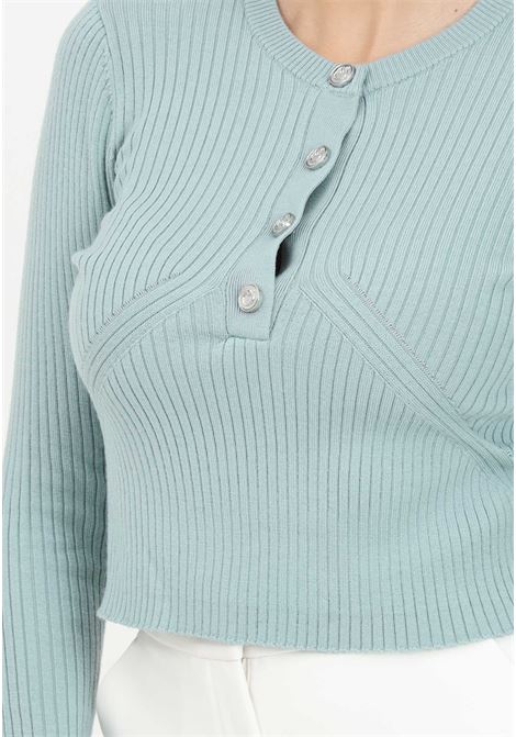 Retrogusto Serafino green ribbed crew-neck sweater for women PINKO | 104018-A15SU43