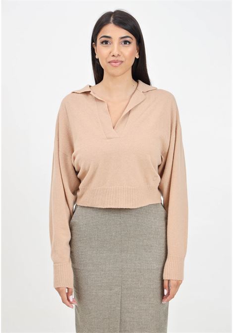 Evanescente beige women's sweater with V-neck and logo embroidery PINKO | 104050-A22UC73
