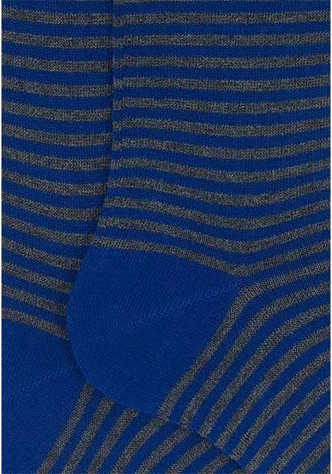 Calzini lunghi da uomo a bande alternate blu e grigi con logo fantasia windsor GALLO | AP10290130727